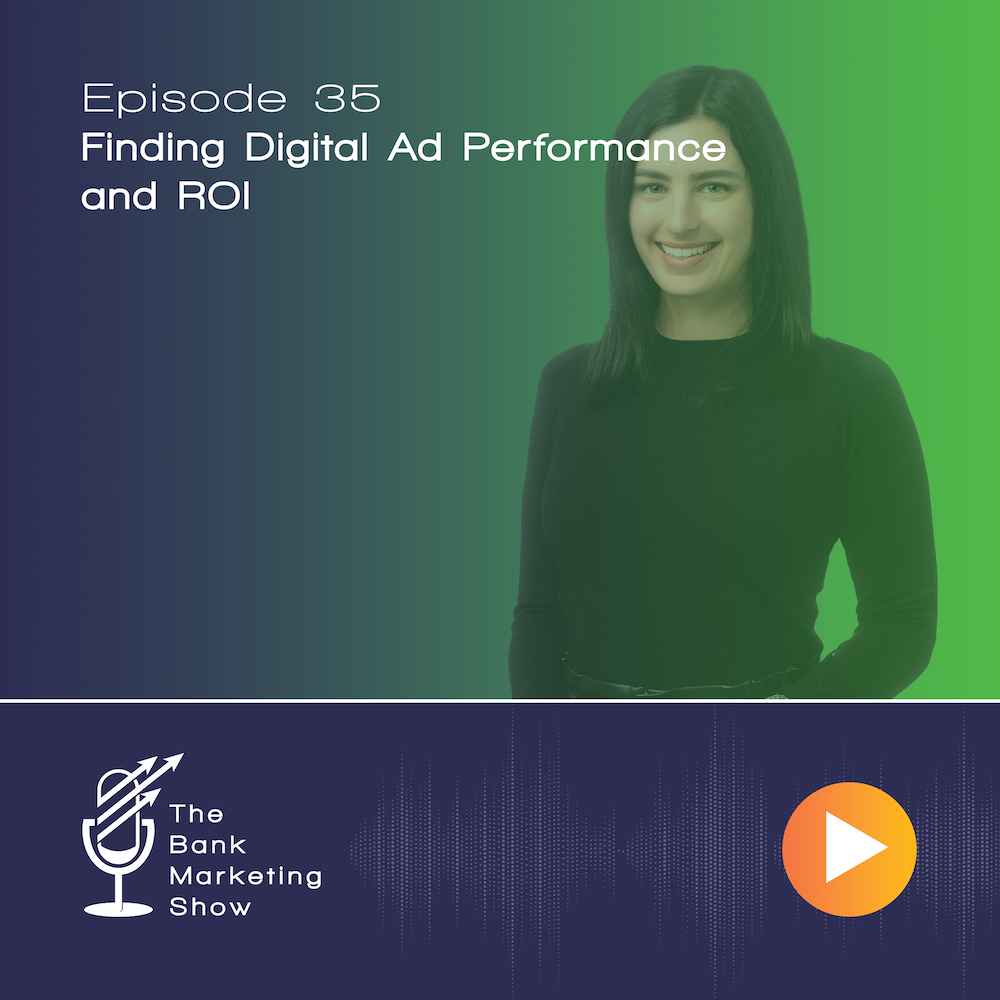 Ep 35 – Finding Digital Ad performance and ROI with Alana Levine – CRO, Fintel Connect